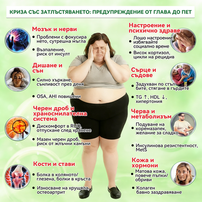 Официален магазин | ✨✨𝗟𝘂𝘅𝗮𝗿𝗶𝘀𝗲® МОРИНГА Х БЕРБЕРИН 10-IN-1 Напреднал Нано Микроигли Пластир (Веднъж дневно, видими резултати след 7 дни) ✅ Подходящ при: затлъстяване, диабет, сънна апнея и проблеми със ставите 💎