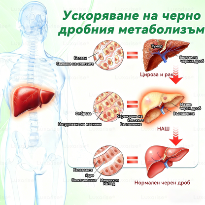 Официален магазин | ✨✨𝗟𝘂𝘅𝗮𝗿𝗶𝘀𝗲® МОРИНГА Х БЕРБЕРИН 10-IN-1 Напреднал Нано Микроигли Пластир (Веднъж дневно, видими резултати след 7 дни) ✅ Подходящ при: затлъстяване, диабет, сънна апнея и проблеми със ставите 💎